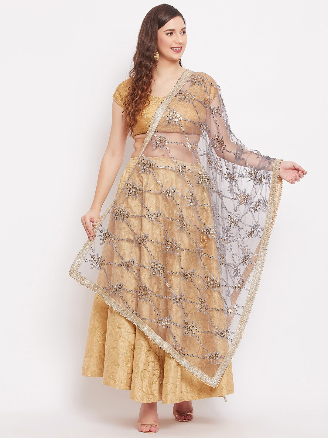 Clora Grey Embroidered Net Dupatta With Sequined