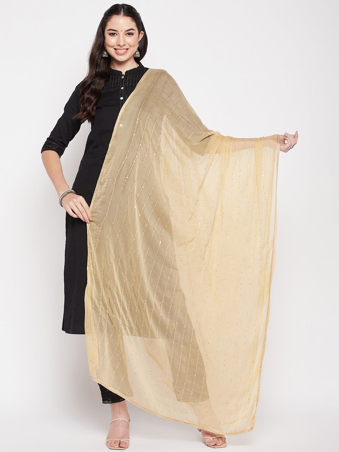 Clora Fawn Embroidered Chiffon Dupatta with Sequinned